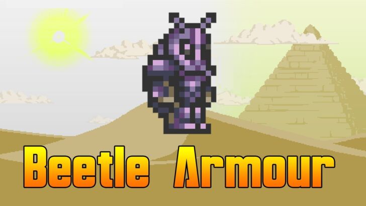 Terraria Beetle Armor vs Turtle Armor